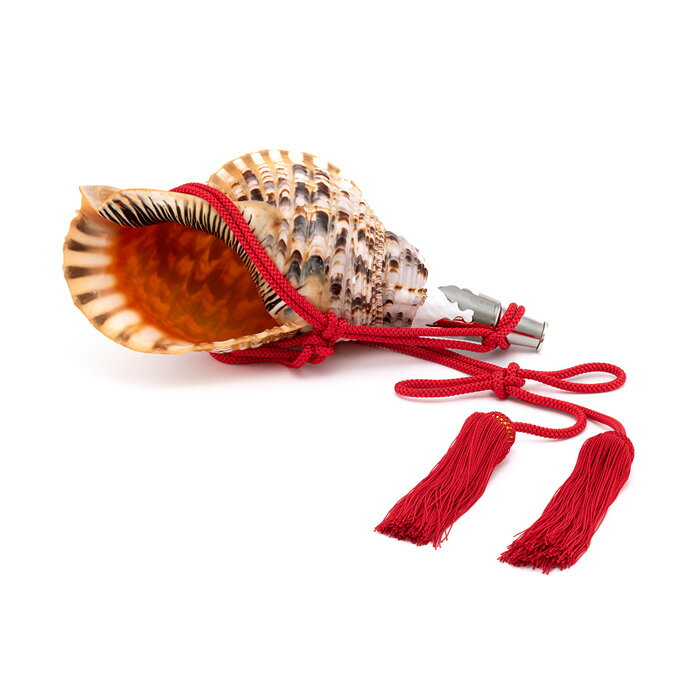 【 伊勢 宮忠 】【 No.46 法螺貝(ほら貝) 15インチ 】全長39cm 幅19.9cm 神具 楽器 笛 ほら貝 ホラ貝 神社祭儀式用具 神社 神職 真言宗