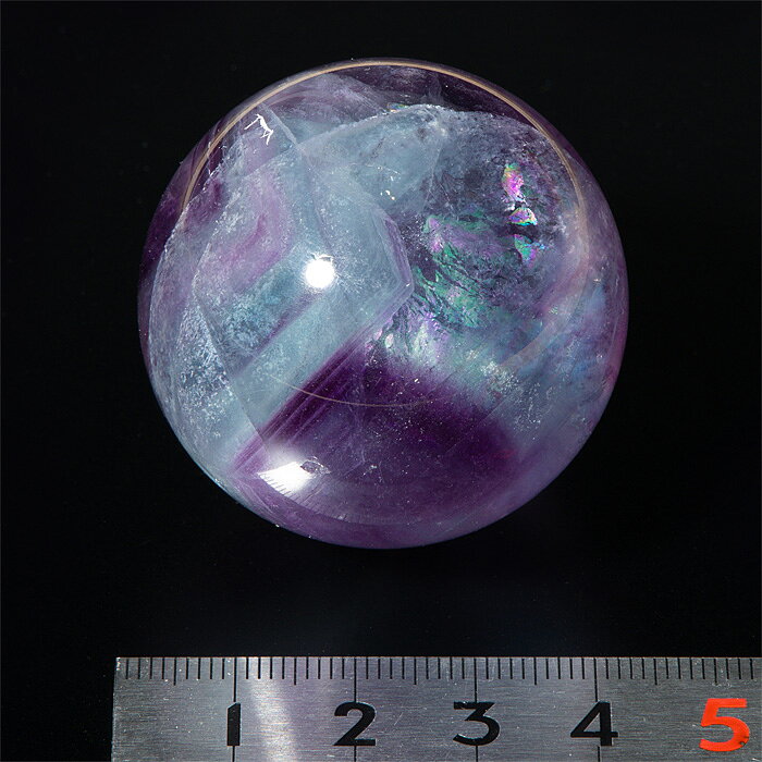 �ե����饤�� �ݶ� �쥤��ܡ��ե����饤�� ����񻺡� 41mm No.70