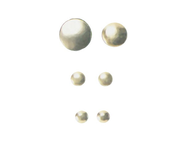 神棚 金具 【 鰹魚木金具 本金鍍金 5寸 】