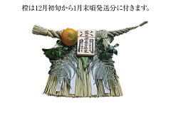 https://thumbnail.image.rakuten.co.jp/@0_mall/miyachu/cabinet/sn-gen-so-d.jpg