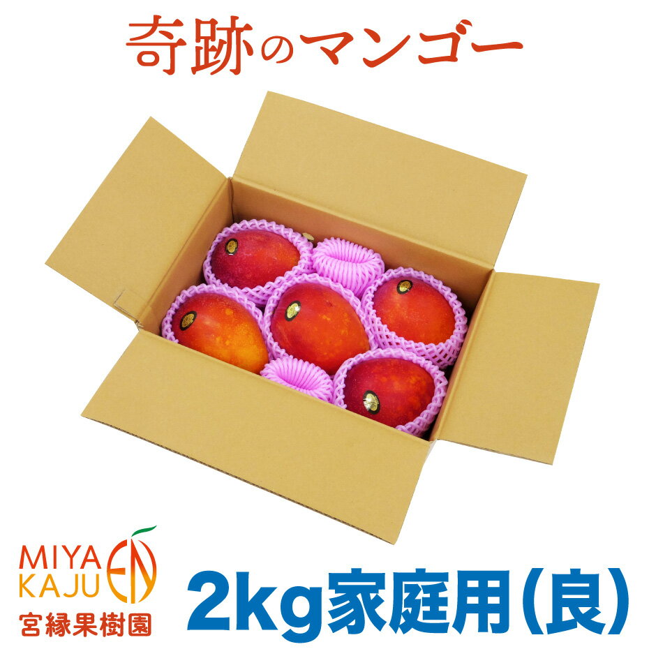 冷凍マンゴー 500g 日本食研 業務用 マンゴー 糖度12度以上 アップルマンゴー タイ フルーツ 果物 スイーツ 冷凍便 ギフト 敬老の日 お取り寄せグルメ 食品