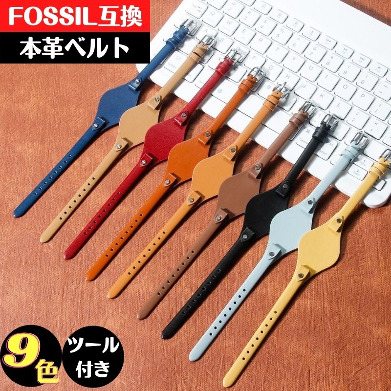 Fossil 互換 交換バンド 替えベルト 革ベルト 防水 おしゃれ かわいい レディース 腕時計 時計 ベルト バンド レディース 本革 レザー 8mm スタイリッシュ 9色 ラッキーカラー ツール付き 調整 工具 通勤 通学 普段使い ファッション 20代 30代 40代 50代 60代 おすすめ