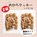 『おから クッキー ソフト 賞味期限訳あり』シナモンのみ【250g×2袋】 【メール便 送料無料】しっとり 満腹 シナモン味 2袋 セットナガトヤ 長登屋