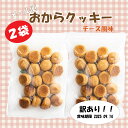 『おから クッキー ソフト 賞味期限訳あり』 チーズのみ【250g×2袋】 【メール便 送料無料】しっとり 満腹 チーズ 2袋 セットナガトヤ 長登屋