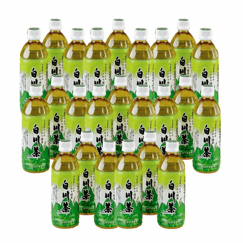 ケース購入 岐阜白川茶ペットボトル 500ml×24本 まとめ買い 送料無料 こだわり緑茶 岐阜県 お土産