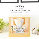 【12時までのご注文で最短翌日配送】【4/20まで☆全品ポイント2倍+先着クーポン!】五月人形 コンパクト おしゃれ 兜ケース飾り 5月人形 兜飾 8号 白木目...
