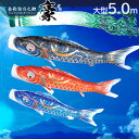 【ポイント10倍】こいのぼり 大型セット 鯉のぼり 庭 徳永こいのぼり 純正品 豪 5m こいのぼり6点セット 家紋入れ・名前入れ可能吹流し 端午の節句 五月 ...