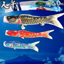 こいのぼり 大型セット 鯉のぼり 庭 天華 6m こいのぼり6点セット 家紋入れ・名前入れ可能吹流し 端午の節句 五月 子供の日