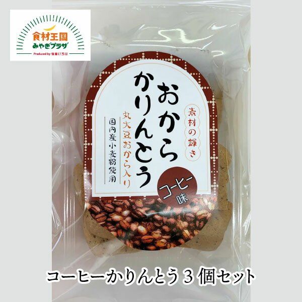 コーヒーかりんとう 3個セット 丸大豆おから 国産小麦 新食感 130g×3個 仙台 珈琲 練り込み きらら女川 宮城 お菓子 お取り寄せ