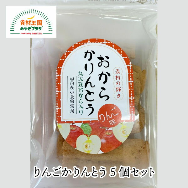 りんごかりんとう 5個セット 丸大豆おから 国産小麦 新食感 130g×5個 仙台 りんご リンゴ 練り込み きらら女川 宮城 お菓子 お取り寄せ