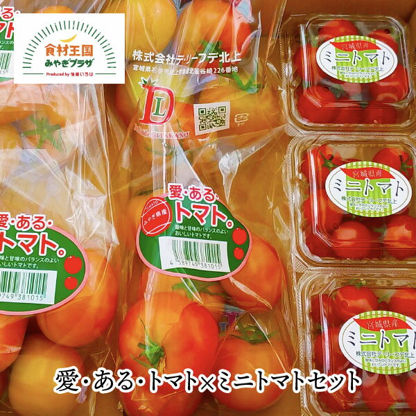 愛・ある・トマト×ミニトマトセット 野菜ギフト 大玉トマト約