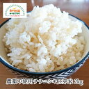 【送料無料】ササニシキ胚芽米 2kg 農薬不使用 宮城 ささにしき 化学肥料不使用 石巻 豊かな風味 独特な甘み お取り寄せ 田伝むし