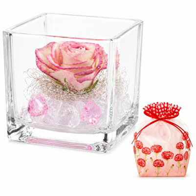 【大切な方へのお花の贈り物として】お誕生日や結婚記念日、結婚祝い、出産祝い、快気祝い、退職祝い、還暦祝い、長寿のお祝いなど様々なギフト、プレゼントにご利用いただけます。