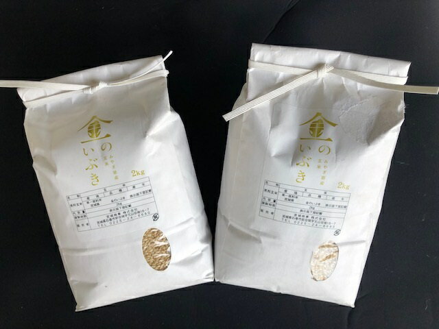 米 玄米食 金のいぶき 4kg（2kg×2袋） 玄米食専用 