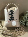 米 もち米 みやこがねもち 精米 5Kg 令和6年度 宮城県産 送料無料 【沖縄・離島は別途600...