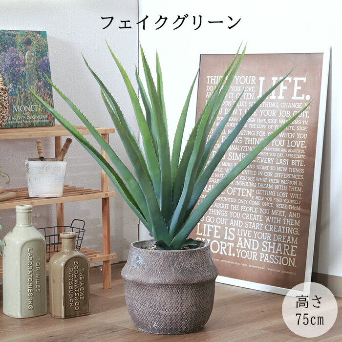[pt5倍!11/11〜11/20 19:59] フェイクグリーン アロエ M セメントポット 観葉植物 造花 おしゃれ 緑