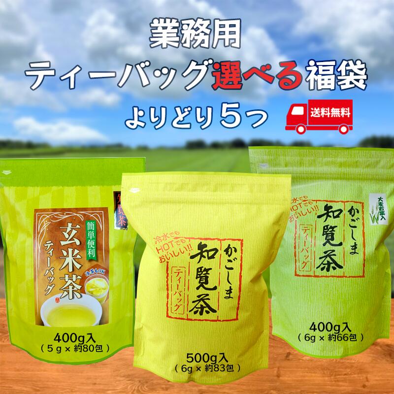 ティーバッグ福袋 よりどり5つ お茶 知覧茶 鹿児島 抹茶 入り 緑茶 日本茶 一番茶 深蒸し茶 がぶ飲み ティーパック ティーバッグ ティバッグ 宅配便配送 送料無料 大容量 業務用 お徳 お得 飲食店用 オフィス用 水筒用 日本茶 茶葉 ギフト 煎茶 国産 無添加 無着色 宮原園