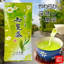 かごしま知覧茶 緑 100g 知覧茶 深蒸