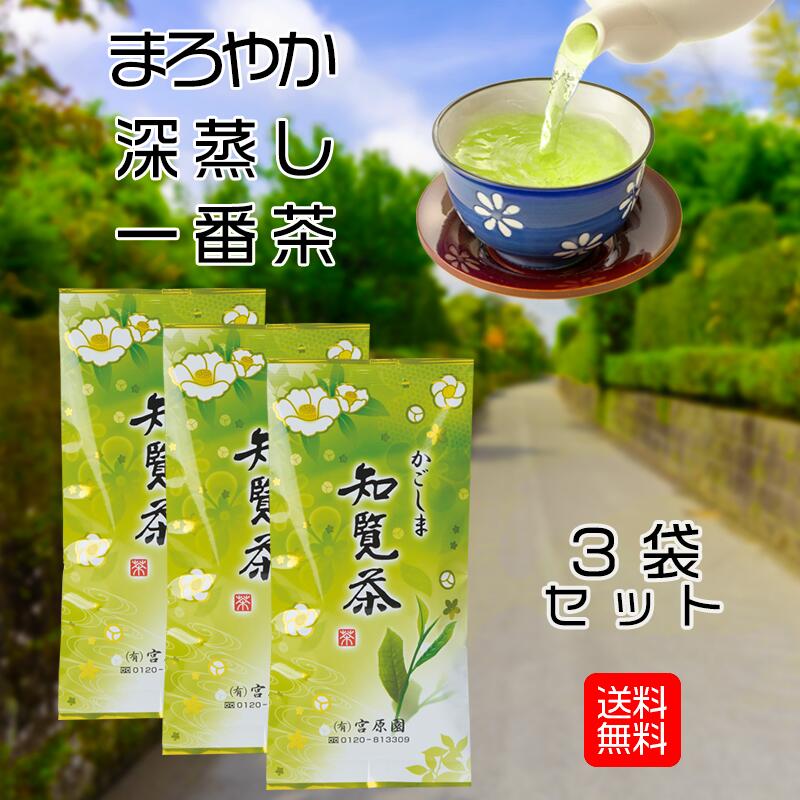 知覧茶 緑 300g 100×3袋セット知覧茶 深蒸し茶 ポッキリ ぽっきり 鹿児島 日本茶 煎茶 茶葉 旨味 甘味 かごしま茶 メール便発送 送料無..