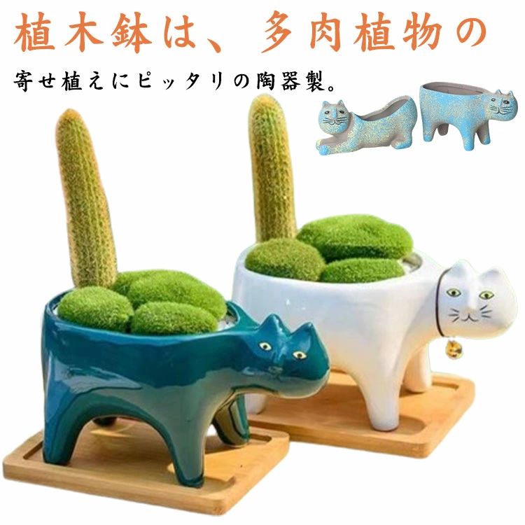 Amazon.com: Honeydak Funny Succulent Black Cat Plant Pots