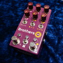 Chase Bliss Audio/BROTHERS AM(2)