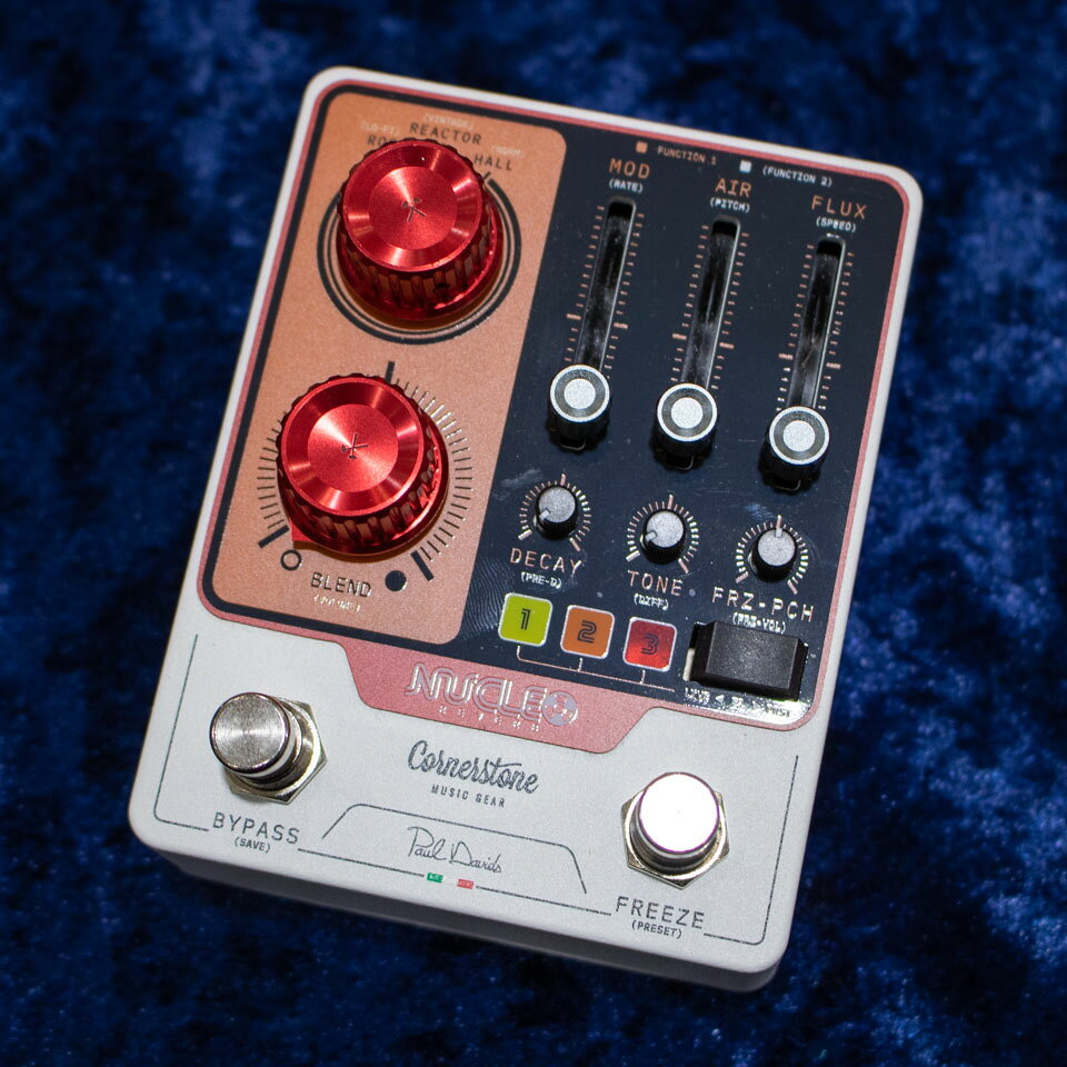 Cornerstone/NUCLEO signature of Paul Davids