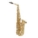 セルマー アルトサックス Axos second generation ゴールドラッカー SELMER アクソス スタンダード [管楽器] ※送料無料