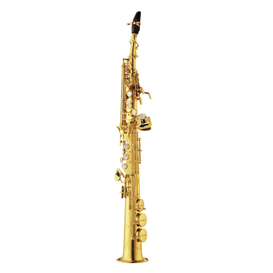 ʥ Yanagisawa ץΥå S-WO10 [ɳڴ]