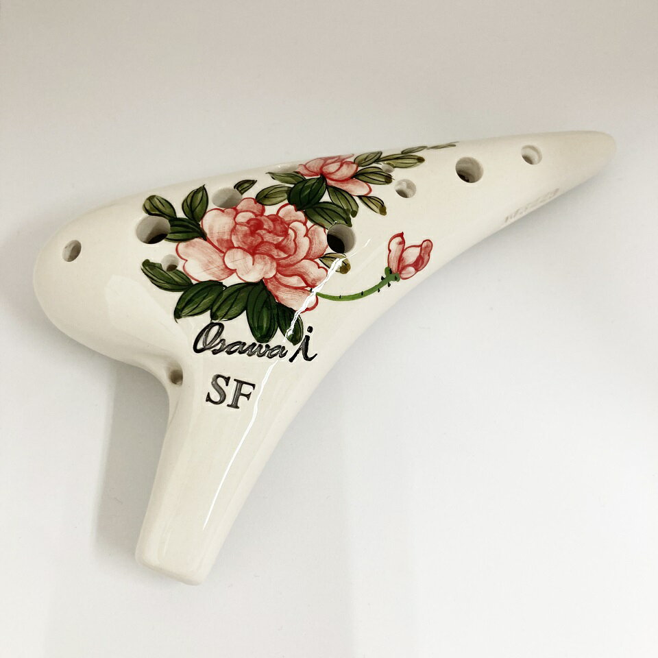 OSAWA   SF-Si ð (ץFĴ) i꡼ ڥǥ SF Single i SP1 ̵