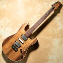 Kz Guitar Works/^EؑY Black Wood Top