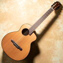 aNueNue/aNN-MN14E【送料無料】
