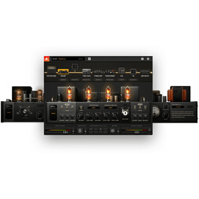 Positive Grid/BIAS AMP 2.0 Professional【～06/30 期間限定特価キャンペーン】【オンライン納品】