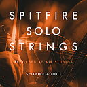 SPITFIRE AUDIO/SPITFIRE SOLO STRINGS【オンライン納品】【在庫あり】