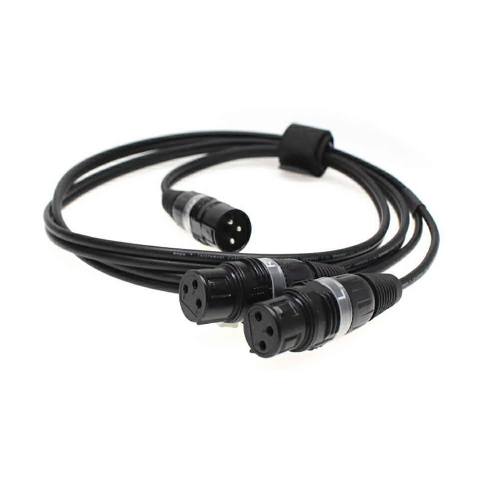 Fischer Amps/XLR Adaptor Cable for In Ear Stick / Mini Body Pack