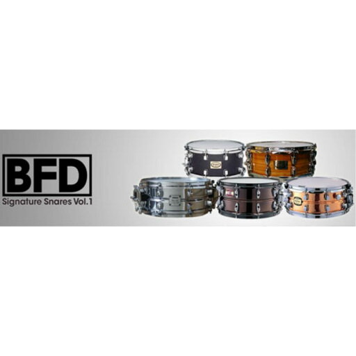 FXPansion/Signature Snares Vol.1【オンライン納品】【BFD拡張】 FXPansion/Signature Snares Vol.1【オンライン納品】【BFD拡張】