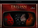 Spectrasonics Trilian USBCXg[[