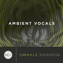 OUTPUT/AMBIENT VOCAL - EXHALE EXPANSIONy`05/30 ԌLy[zyIC[izy݌ɂz