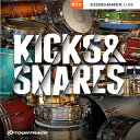 TOONTRACK/EZX - KICKS  SNARESyIC[izy݌ɂz