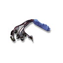 Demeter Amplification/BEQP-1(Onboard)【お取り寄せ商品】