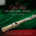 BEST SERVICE/CHRIS HEIN WINDS 2.0 VOL1 - FLUTES _E[hŁyIC[izy݌ɂz