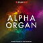 SOUNDIRON/ALPHA ORGAN 2.0ڥ饤Ǽʡ