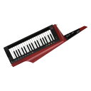 KORG/RK-100S 2 RD(2)