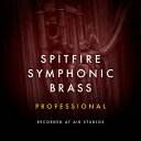 SPITFIRE AUDIO/SPITFIRE SYMPHONIC BRASS PROFESSIONALyIC[izy݌ɂz