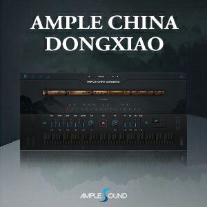 AMPLE SOUND/AMPLE CHINA DONGXIAOyIC[izy݌ɂz