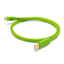 OYAIDE/d+USB Type-A to C classB/1.0(2)