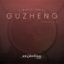 EVOLUTION SERIES/WORLD STRINGS GUZHENG 2.0【オンライン納品】【在庫あり】