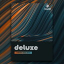 UJAM/Usynth DELUXEyIC[iz