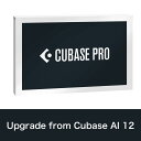 Steinberg/Cubase Pro Upgrade from Cubase AI 12【数量限定特価キャンペーン】【お一人様1点限り】