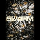 SPITFIRE AUDIO/SWARM - MANDOLINSyIC[izy݌ɂz