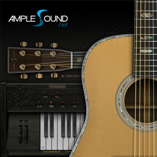 AMPLE SOUND/AMPLE GUITAR M II【数量限定特価キャンペーン】【オンライン納品】